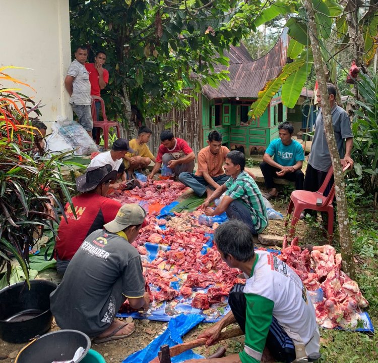 Solok Muda Indonesia Foundation Suskes Salurkan Sapi Kurban di Nagari Binaan