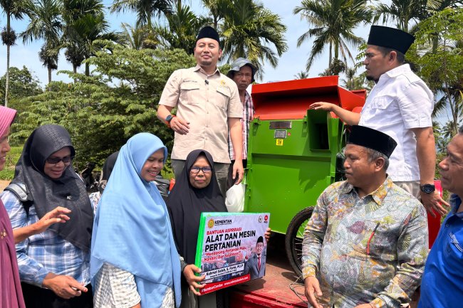 Rahmat Saleh Serahkan Bibit Unggul Bersertifikat di Paninggahan