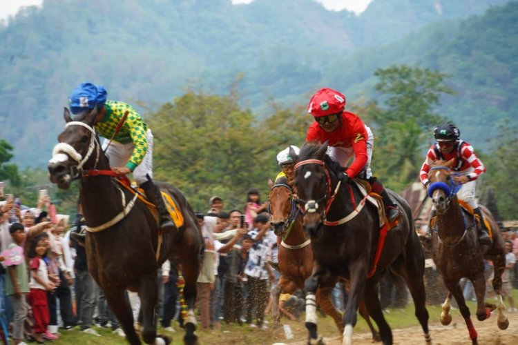Diikuti 93 Ekor Kuda, Wirabraja Open Race Berjalan Meriah