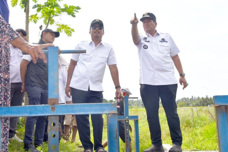 Kembali Berfungi Baik Setelah 7 Tahun Tidak Dialiri Air, Wagub Tinjau Irigasi di Desa Marabau