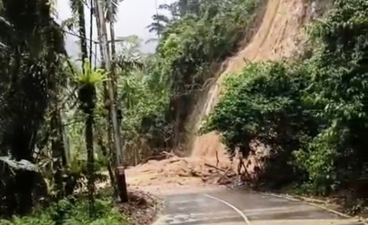 Hujan Lebat, Beberapa Wilayah Agam Kembali Banjir dan Tanah Longsor