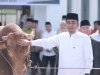 Sapi Kurban Jokowi Seberat 1 Ton Tiba di Solok, Diserahkan Langsung oleh Wali Kota