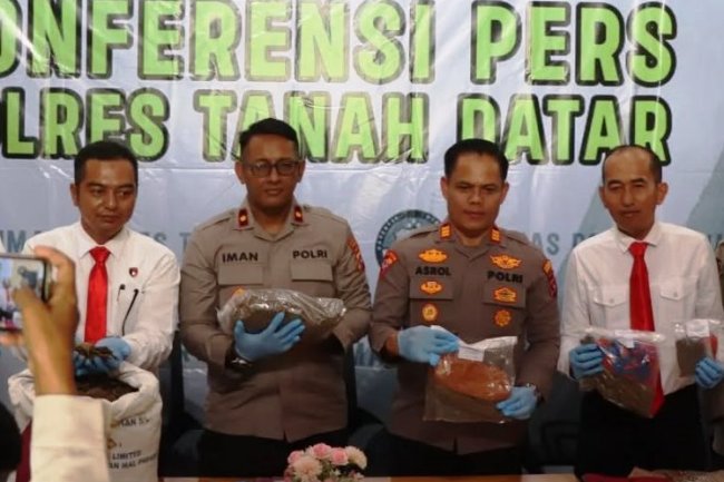 Polres Tanah Datar Ungkap Kasus Perdagangan Sisik Trenggiling dan Narkotika Ganja