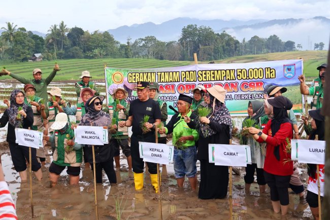 Dukung Swasembada Pangan Presiden Prabowo, Pemko Payakumbuh Gelar Tanam Padi Serentak Nasional