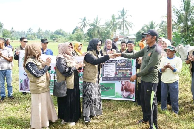 Gandeng Indo Jalito Peduli, LKKS Payakumbuh Bagikan Daging Kurban untuk Warga Kurang Mampu