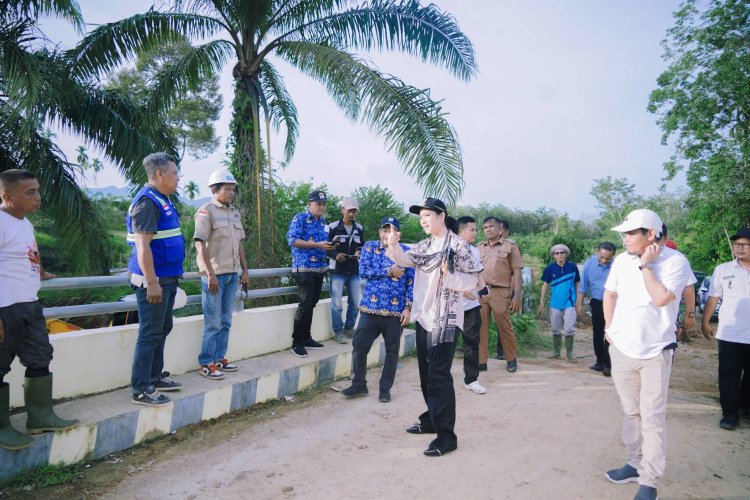 Bupati Dharmasraya Tinjau Pembangunan Jembatan Batang Mimpi, Perkuat Akses Ekonomi Warga Sikabau