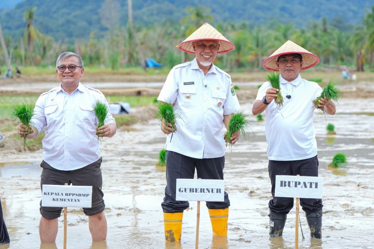 Gubernur Mahyeldi: Rehabilitasi Lahan Pertanian Rusak Ringan dan Sedang di Sumbar Tuntas 100 Persen