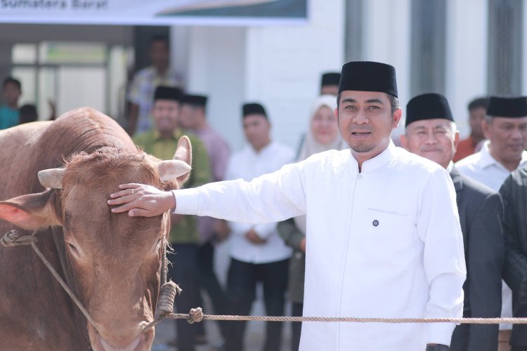 Sapi Kurban Jokowi Seberat 1 Ton Tiba di Solok, Diserahkan Langsung oleh Wali Kota