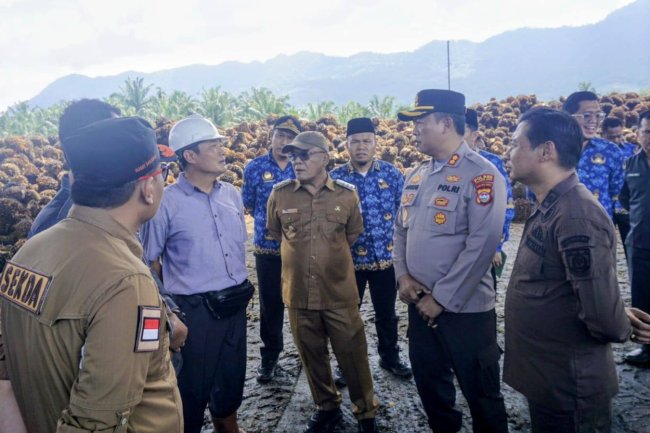 Sidak PKS, Bupati Pasaman Barat Tegaskan Perusahaan Dilarang Turunkan Harga TBS Sawit Sepihak