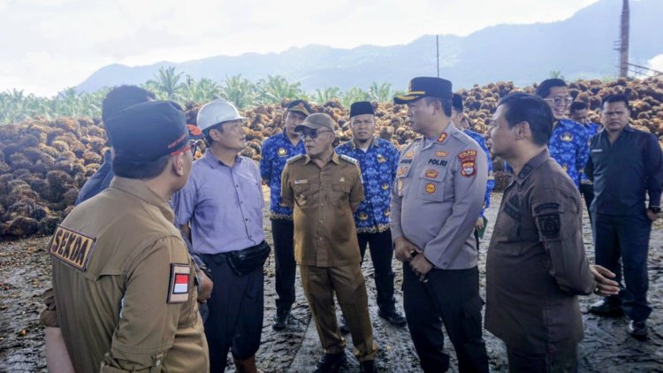 Sidak PKS, Bupati Pasaman Barat Tegaskan Perusahaan Dilarang Turunkan Harga TBS Sawit Sepihak